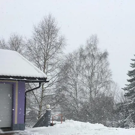 Haus Zeichner 4 Appartement