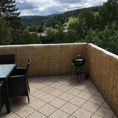 Appartement Haus Zeichner 4 *